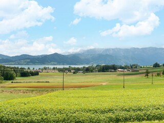 Vakantiehuis Attersee am Attersee Omgeving 31