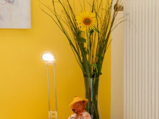 Casa per le vacanze Attersee am Attersee  32