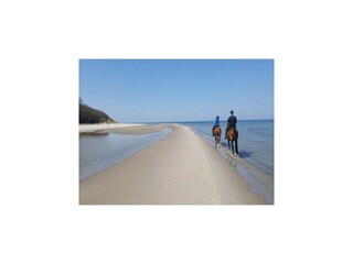 Vakantiehuis Wiek Omgeving 27