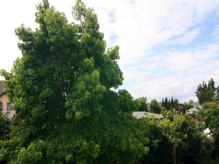 Appartement Neuenhagen bei Berlin Buitenaudio-opname 9