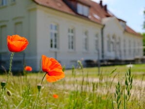 Ferienwohnung FeWo "Lübeck" im Gutshaus KVH - Dassow - image1