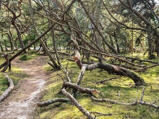 Vakantiehuis Frederiksværk  41