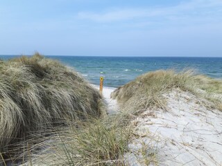 Ferienwohnung Prerow Umgebung 44