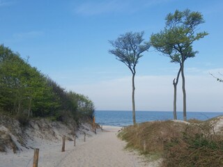 Ferienwohnung Prerow Umgebung 45