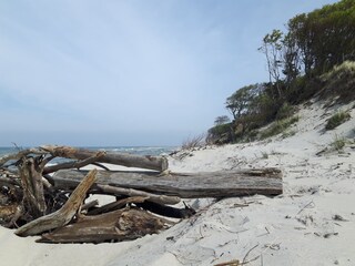 Ferienwohnung Prerow Umgebung 46