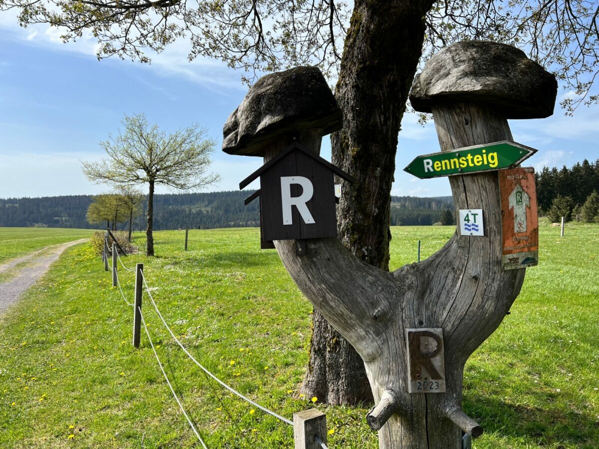 Wandern am Rennsteig