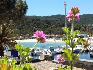 Holiday house Flatraket  4