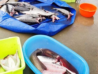 Holiday house Svelgen  8