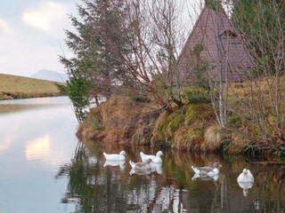 Ferienhaus Stavang  15