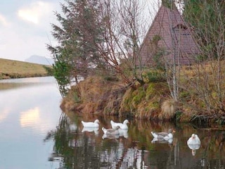 Holiday house Stavang  11