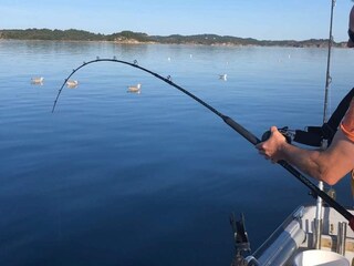 Vakantiehuis Tysnes Buitenaudio-opname 22