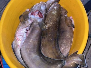 Vakantiehuis Tysnes  57