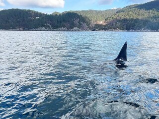 Ferienhaus Tysnes  47