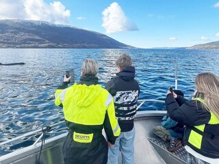 Vakantiehuis Tysnes  55