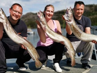 Ferienhaus Tysnes  37