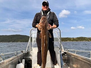 Vakantiehuis Tysnes  60