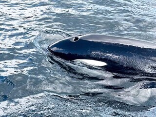 Vakantiehuis Tysnes  32