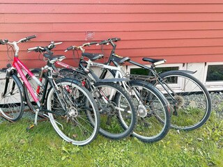 Ferienhaus Oksvoll Außenaufnahme 15