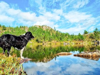 Ferienhaus Sundlandet  15