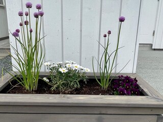 Vakantiehuis Tysnes Buitenaudio-opname 10