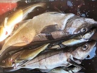 Vakantiehuis Welt  12