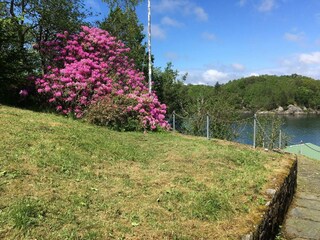 Vakantiehuis Haugesund Buitenaudio-opname 17