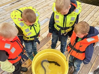 Holiday house Vikøya  23