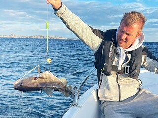 Ferienhaus Vikøya  42