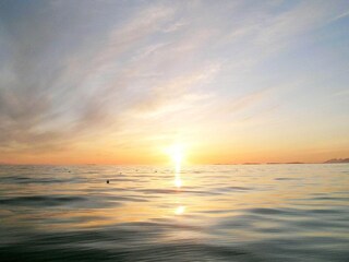 Vakantiehuis Welt  21