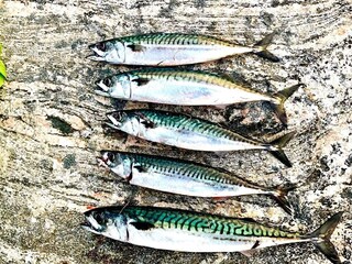 Vakantiehuis Eide  37