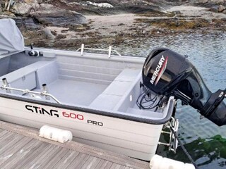 Ferienhaus Auklandshamn  43