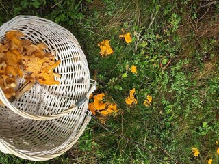 Vakantiehuis Eide  10