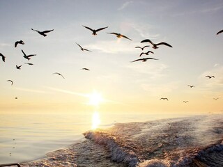 Vakantiehuis Eide  13