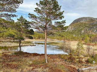 Ferienhaus Lysøysundet  18