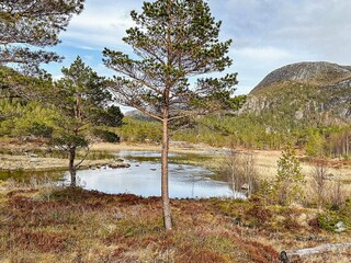 Ferienhaus Lysøysundet  19