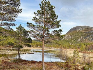 Ferienhaus Lysøysundet  19
