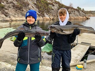 Vakantiehuis Glesvær  25