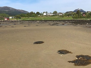 Ferienhaus Tornes Außenaufnahme 29