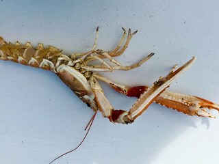 Vakantiehuis Tornes  87