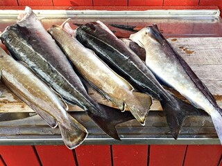 Casa per le vacanze Eide  37