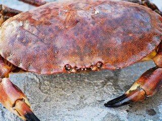 Casa per le vacanze Brattvåg  50