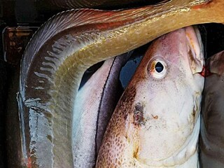 Maison de vacances Brattvåg  37