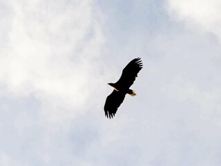 Casa de vacaciones Brattvåg  38