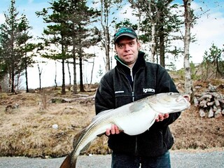 Vakantiehuis Kvenvær  15