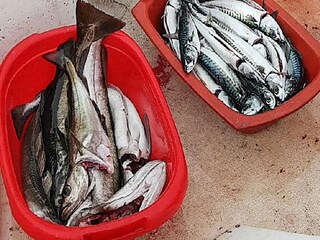 Casa per le vacanze Brattvåg  33