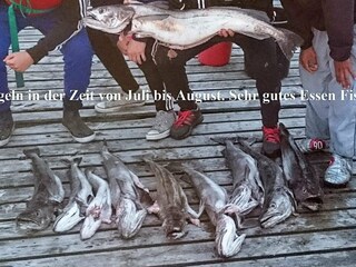 Ferienhaus Brattvåg  34