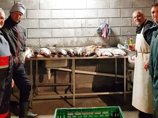 Casa per le vacanze Brattvåg  20