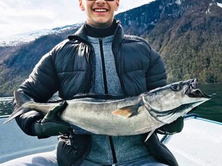 Appartement Eresfjord  54