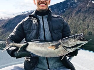 Apartamento Eresfjord  48