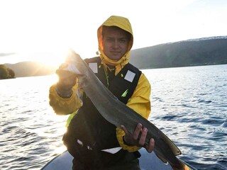 Appartamento Eresfjord  49